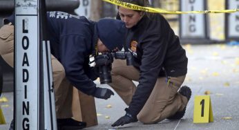 Unraveling the Mystery: What Shell Casings Reveal About a CEO’s Shooting