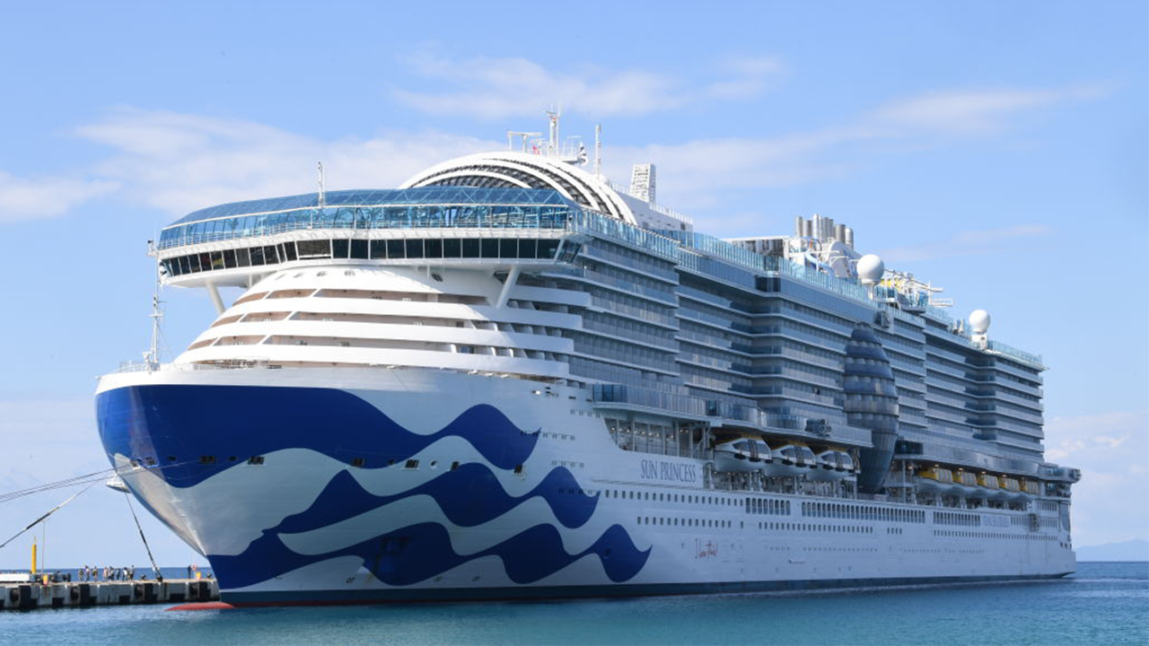 missing-person-princess-cruise