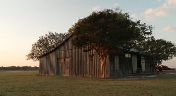 Unmasking Evil: The Chilling Murder Mystery of “The Barn” in Mississippi