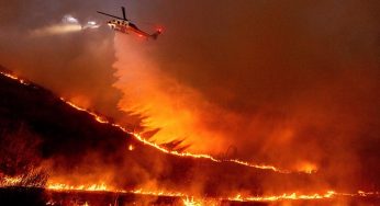 Inside the Grim Reality: Rising Death Toll in Los Angeles