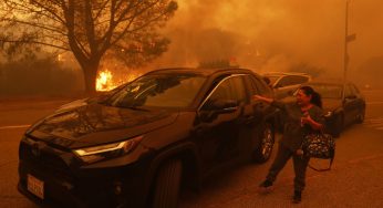 Survival Stories: How Strangers Became Lifelines During the Los Angeles Wildfires