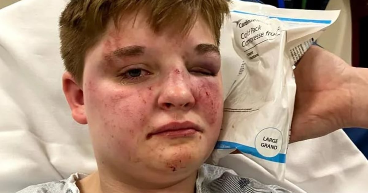 illinois-mcdonalds-assault