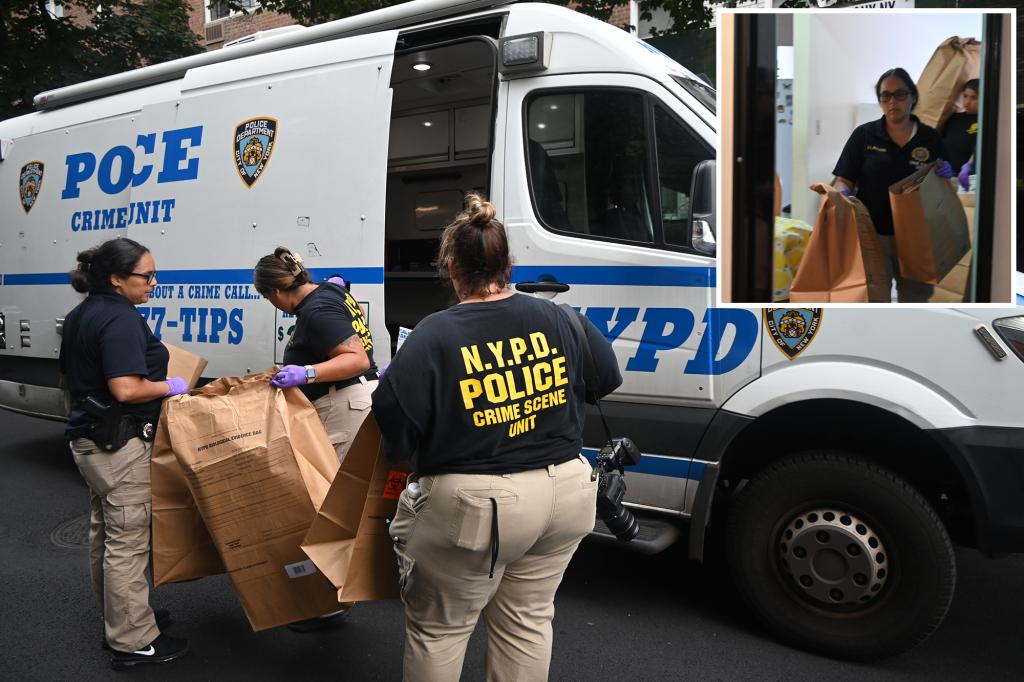 domestic-violence-bronx-elderly-assault
