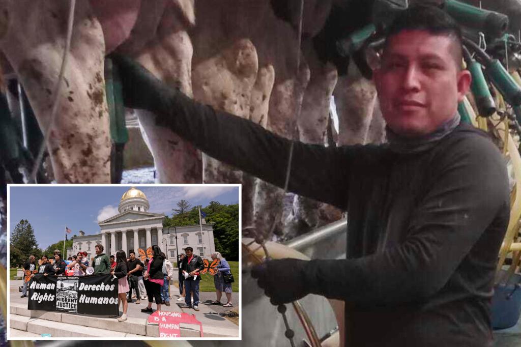 immigrant-raid-vermont-dairy-worker