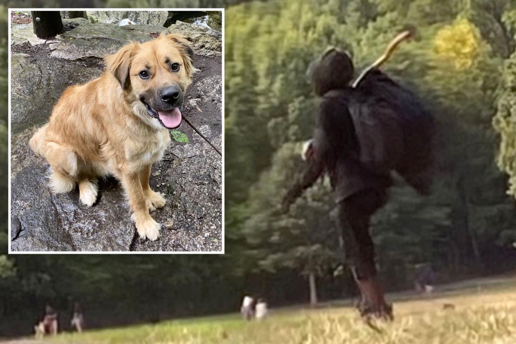 prospect-park-dog-killer-threats
