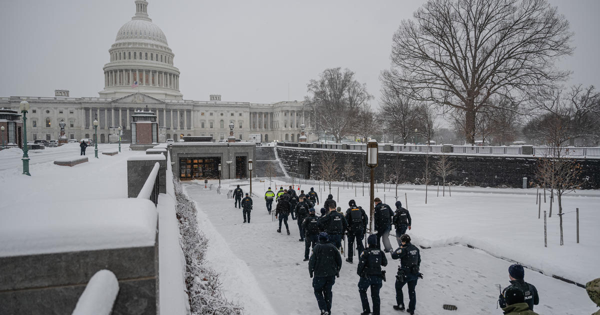 capitol-police-machete-arrest