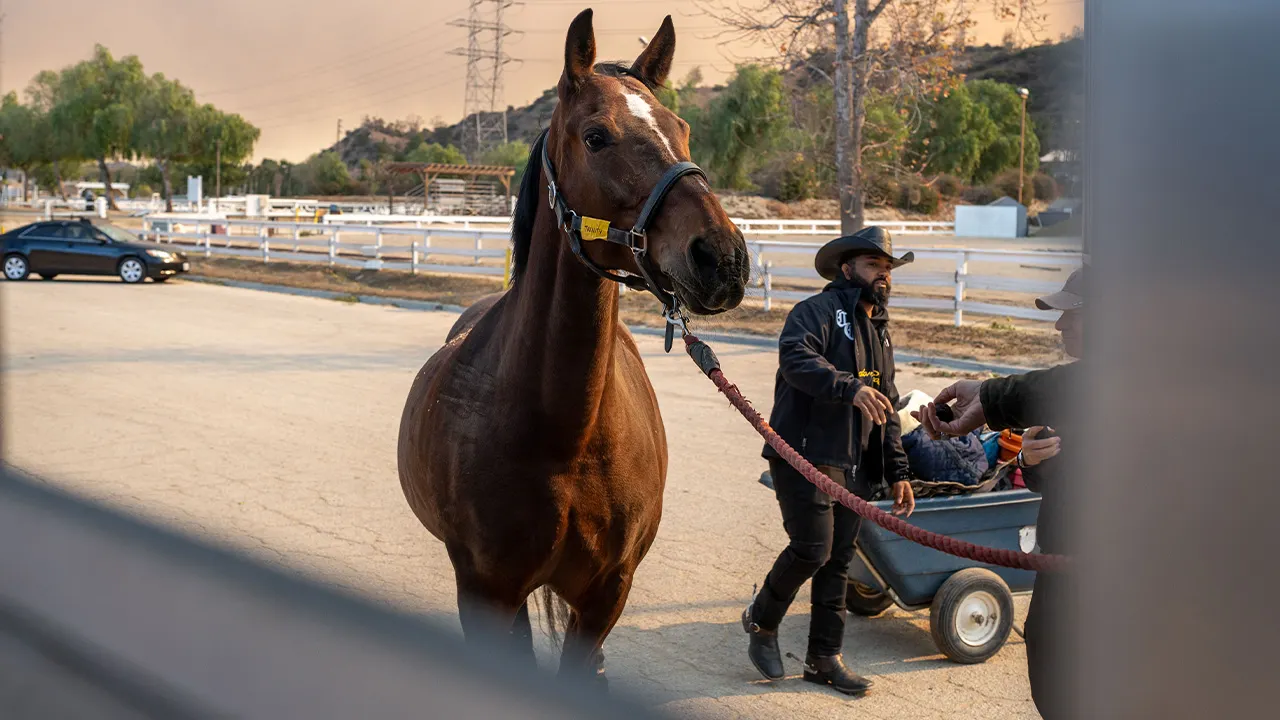 compton-cowboys-wildfire-horse-rescue