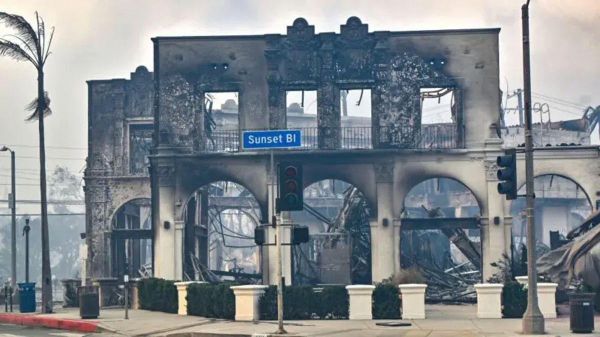 pacific-palisades-wildfires