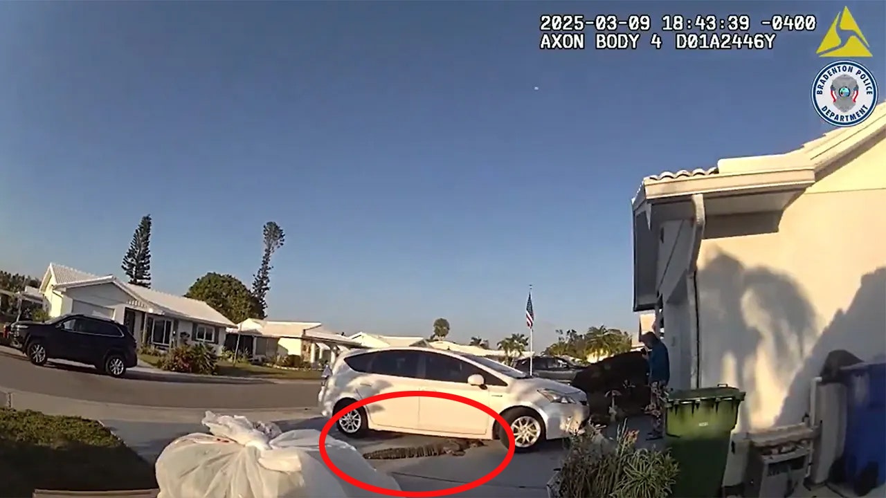 florida-police-pizza-delivery-alligator