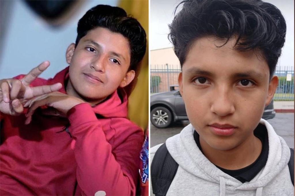 california-teen-missing-person