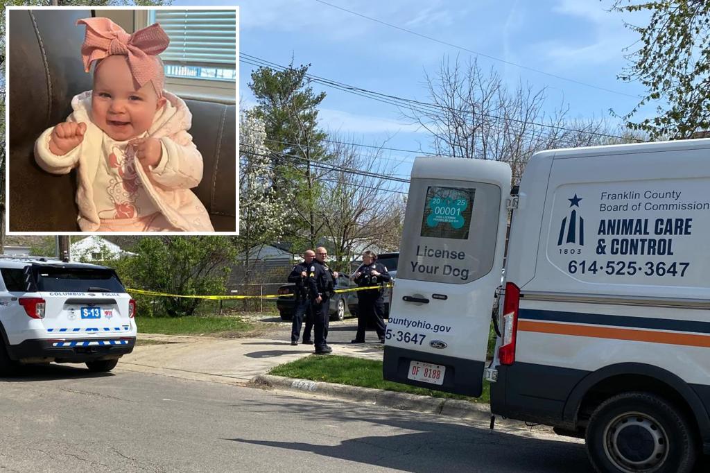 pit-bull-incident-infant-tragedy