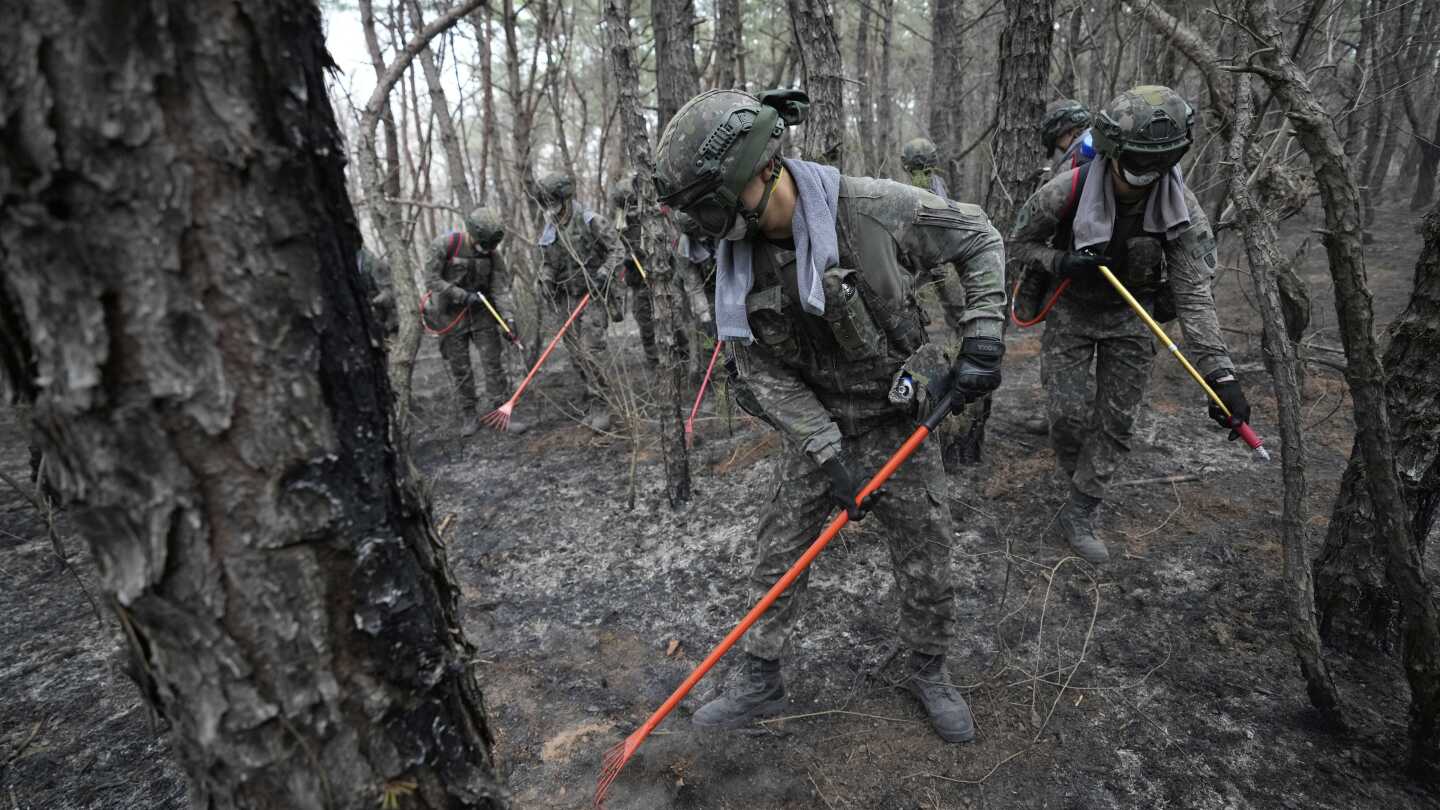 south-korea-wildfires-response