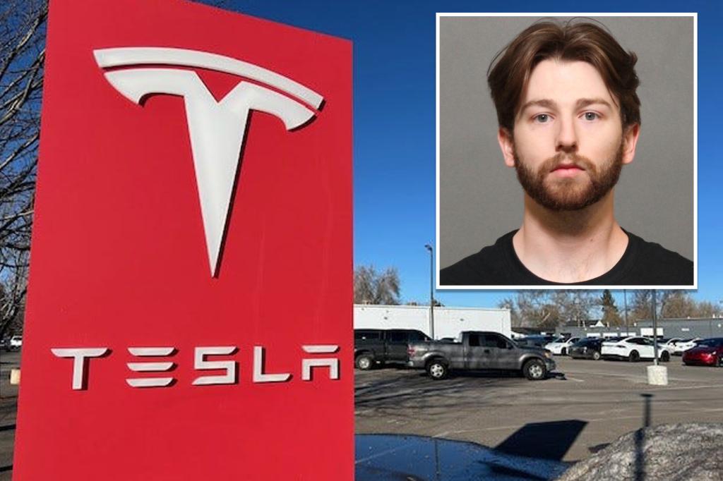 tesla-firebomb-colorado-man