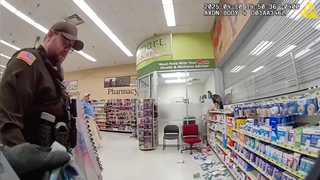 wild-turkey-indiana-supermarket-chaos