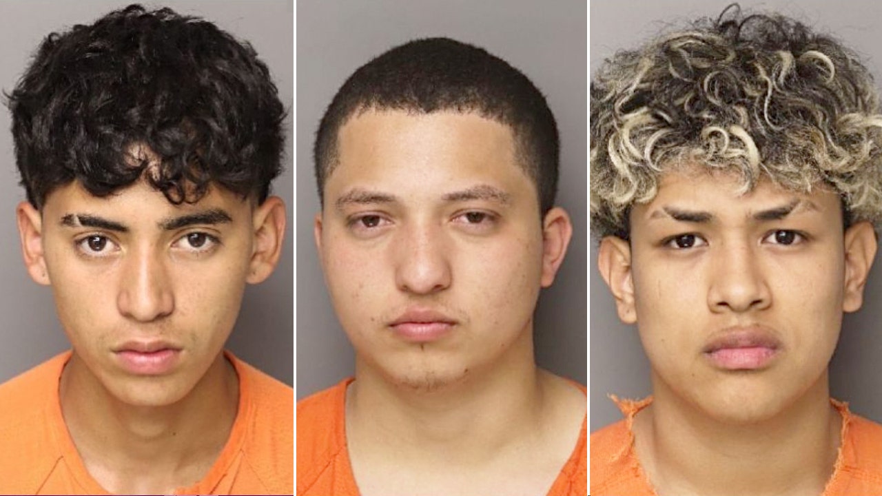 illegal-migrants-south-carolina-murder