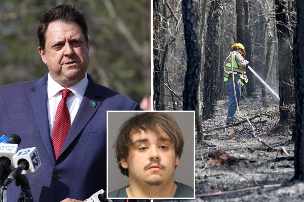 new-jersey-wildfire