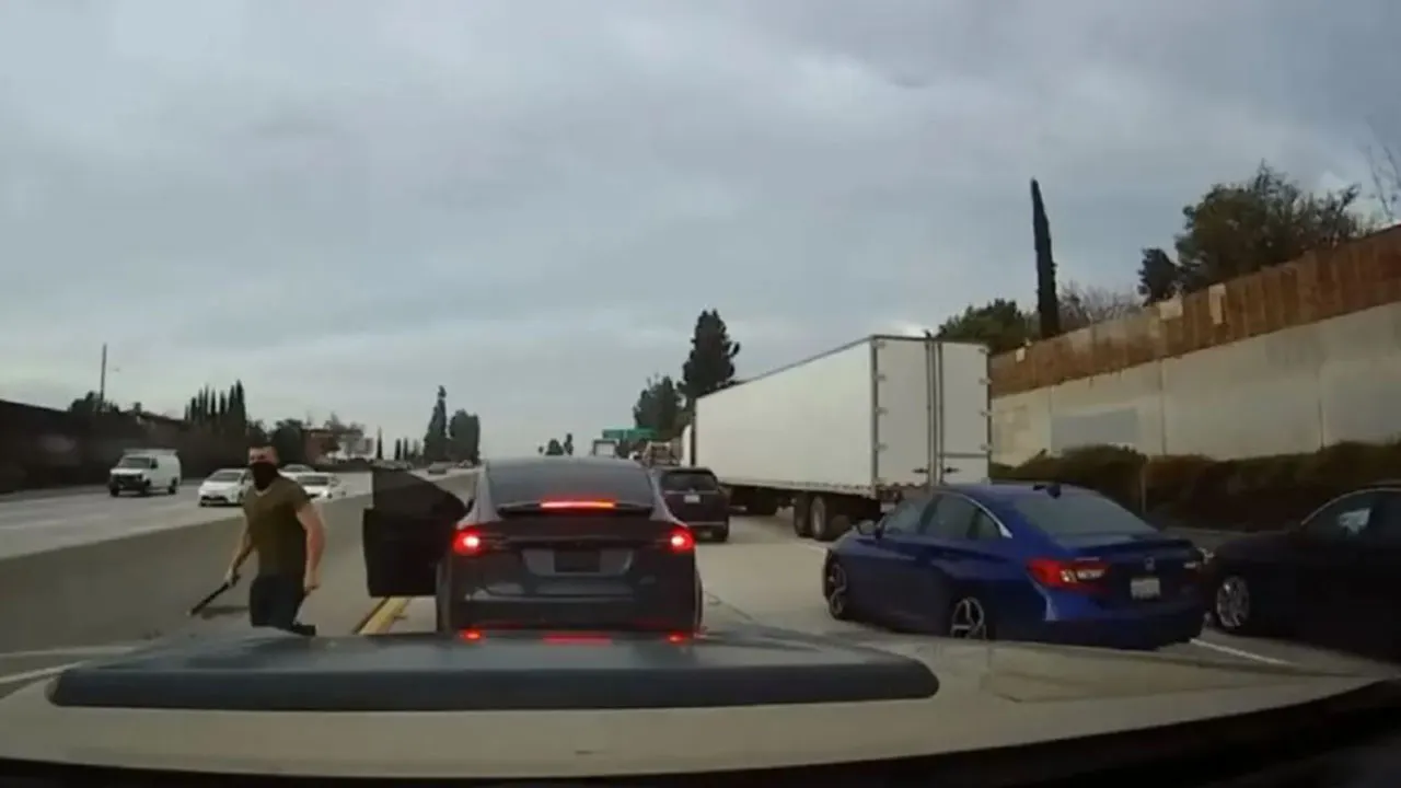 tesla-road-rage-assault-hawaii