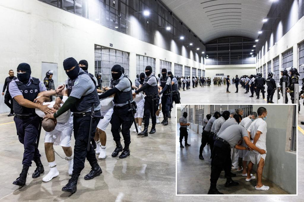 venezuelan-gang-violence-rural-america