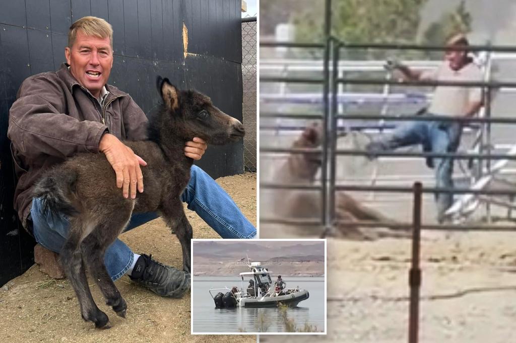 veterinarian-shawn-frehner-death